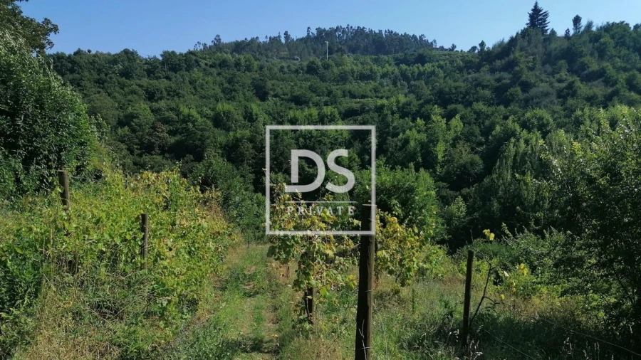 Quinta T4 para Venda em Britelo, Gémeos e Ourilhe Foto 8