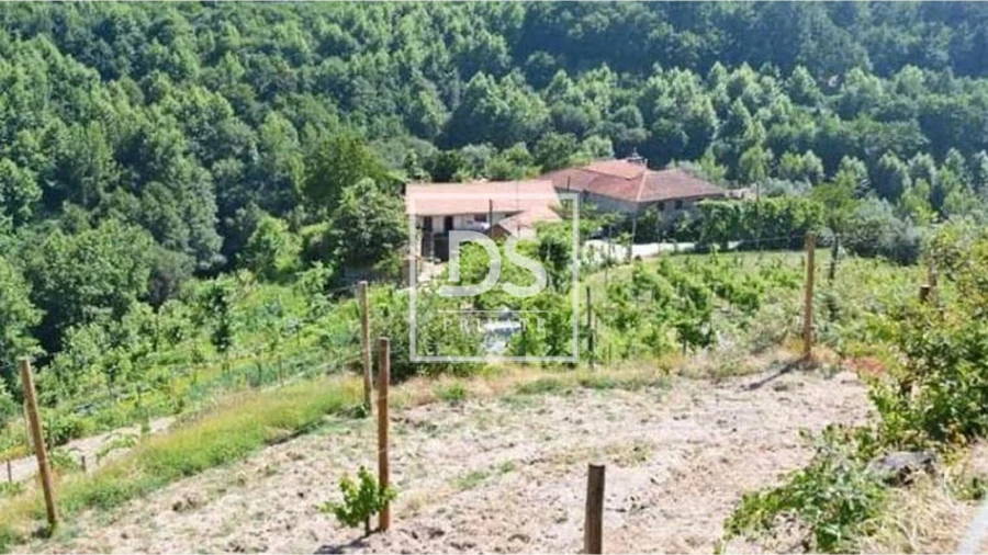 Quinta T4 para Venda em Britelo, Gémeos e Ourilhe Foto 3