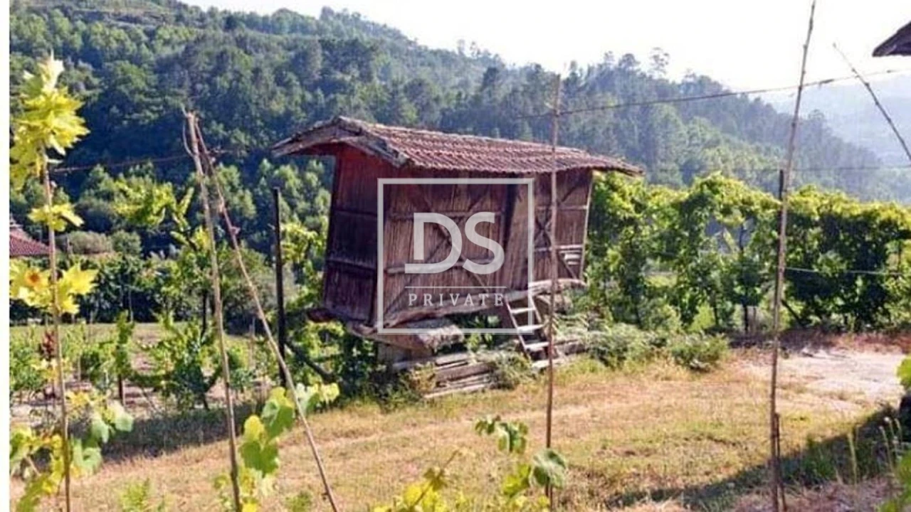 Quinta T4 para Venda em Britelo, Gémeos e Ourilhe Foto 1