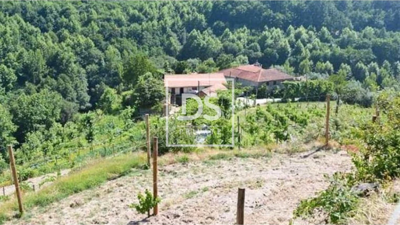 Quinta T4 para Venda em Britelo, Gémeos e Ourilhe Foto 3