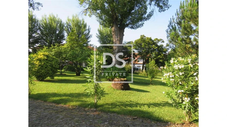 Quinta T5 para Venda em Vila Nova de Famalicão e Calendário Foto 16