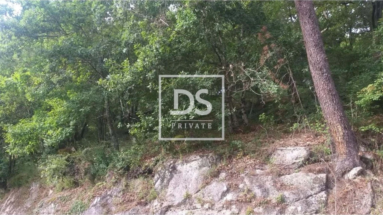 Terreno para Venda em Valdosende Foto 9