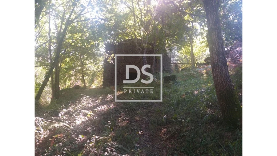 Terreno para Venda em Valdosende Foto 15