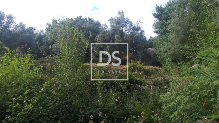 Terreno para Venda em Valdosende Foto 5