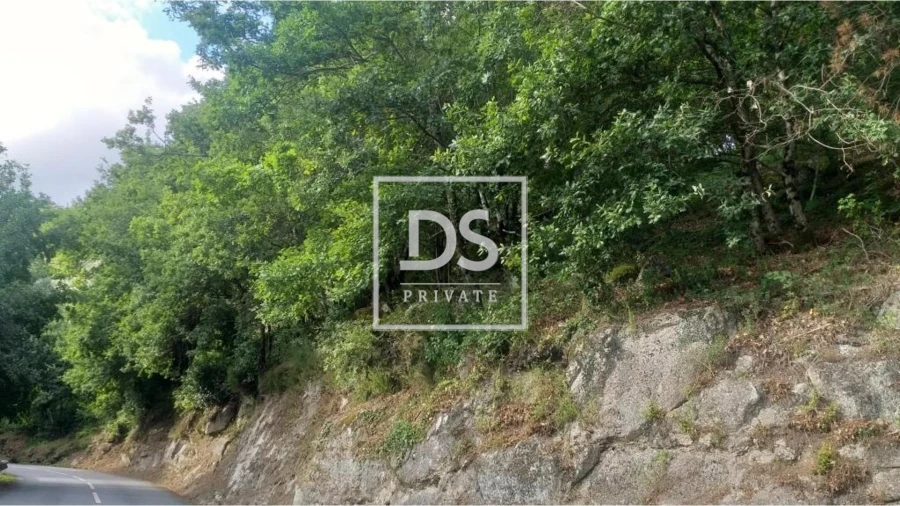 Terreno para Venda em Valdosende Foto 10