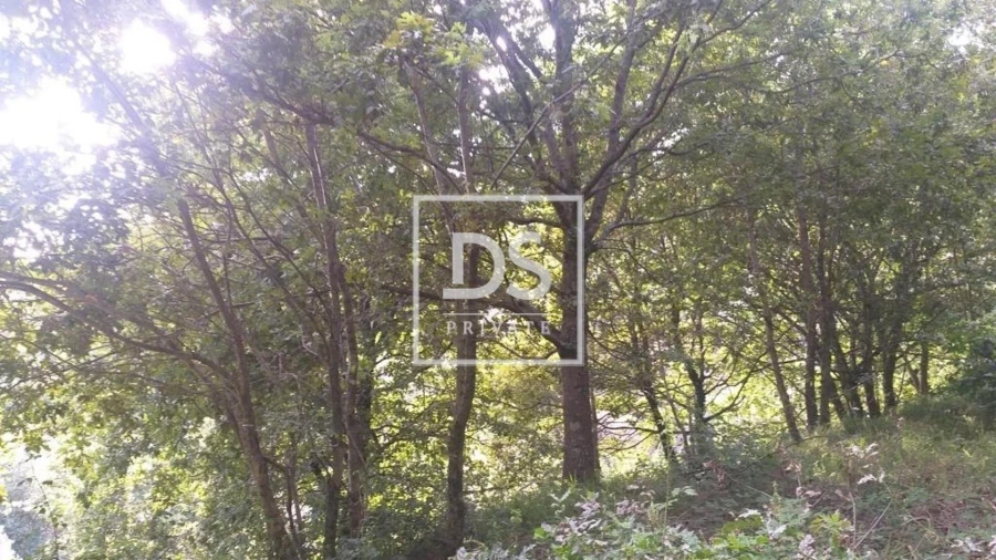 Terreno para Venda em Valdosende Foto 7