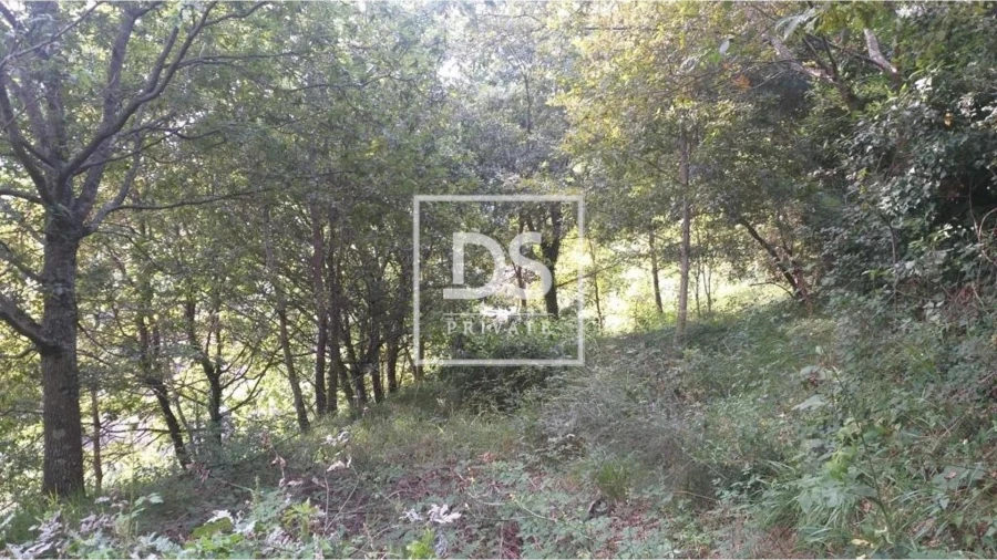 Terreno para Venda em Valdosende Foto 6