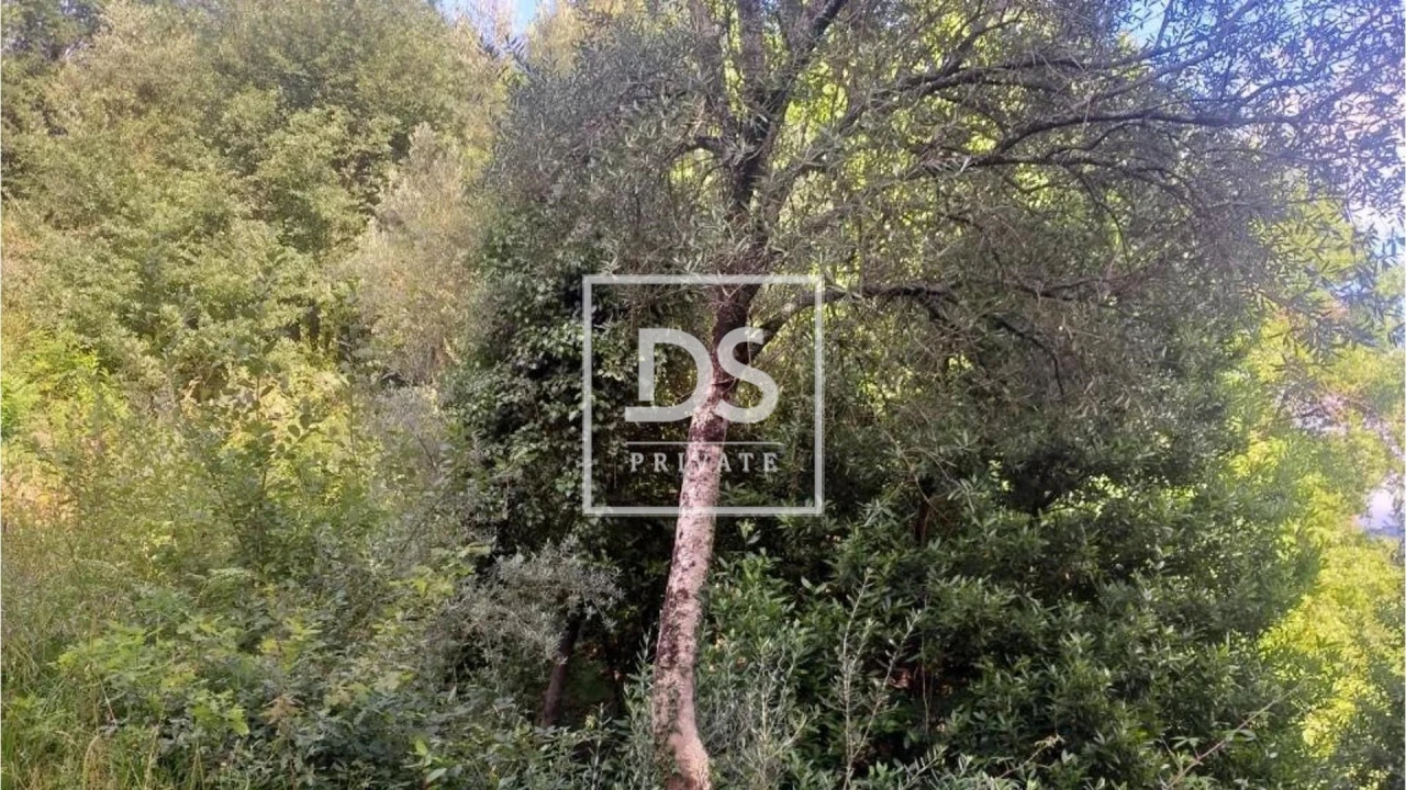 Terreno para Venda em Valdosende Foto 3