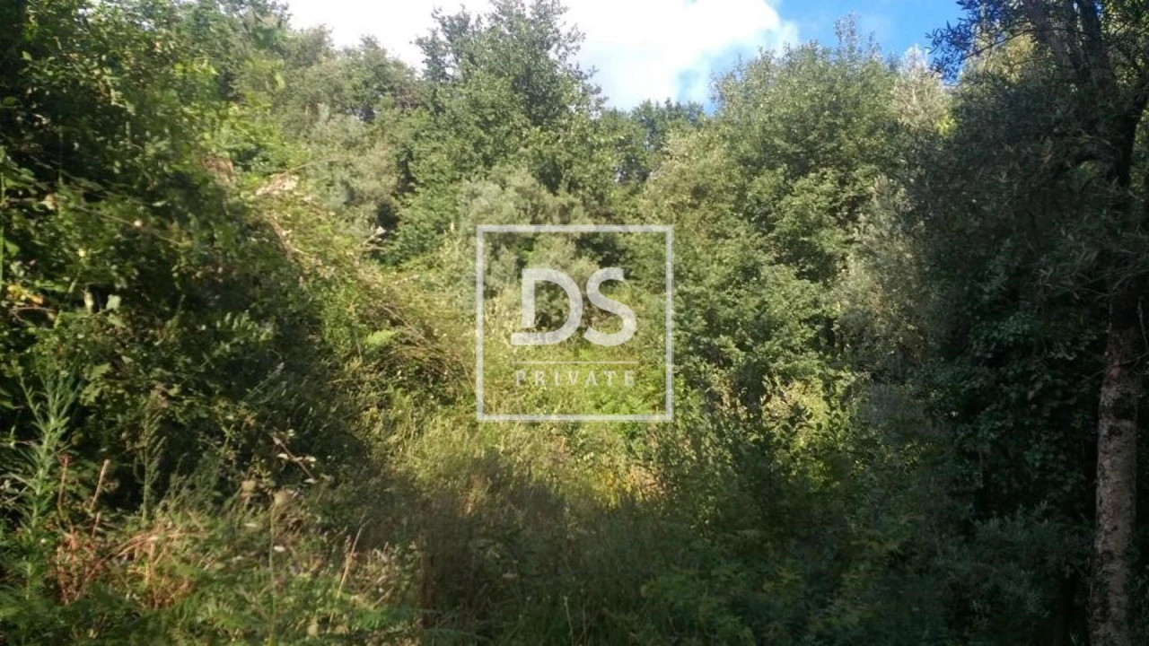 Terreno para Venda em Valdosende Foto 4