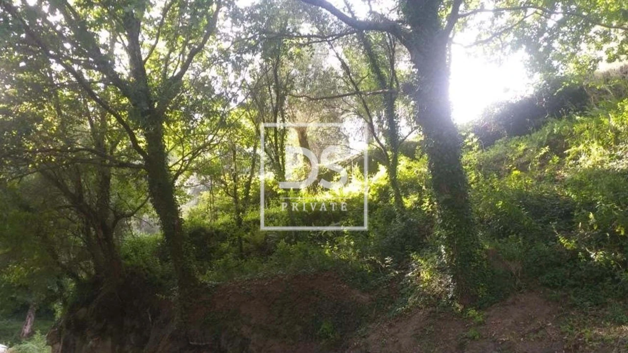 Terreno para Venda em Valdosende Foto 12