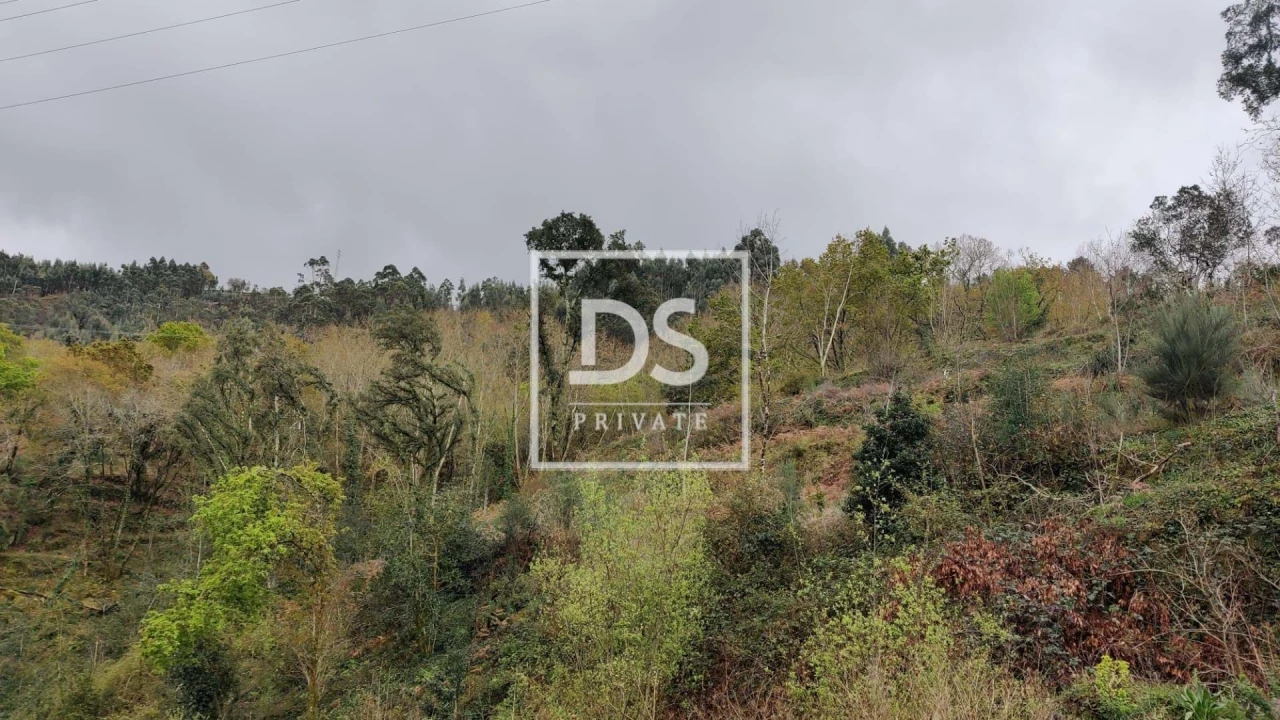 Quinta para Venda em Caniçada e Soengas Foto 8