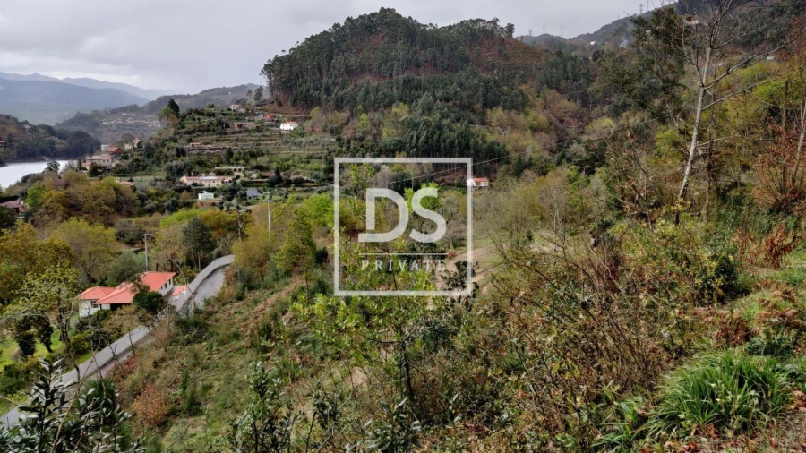 Quinta para Venda em Caniçada e Soengas Foto 7