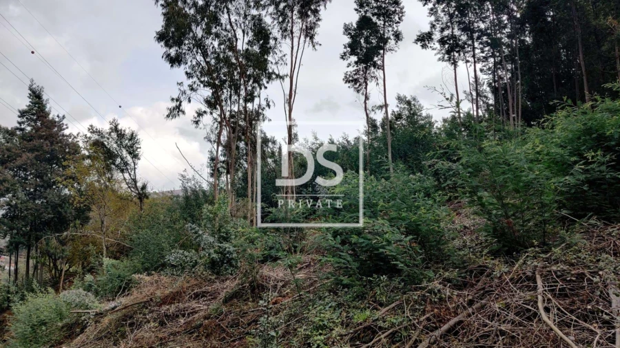 Quinta para Venda em Caniçada e Soengas Foto 5