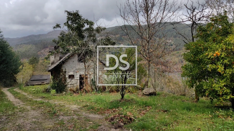 Quinta para Venda em Caniçada e Soengas Foto 4