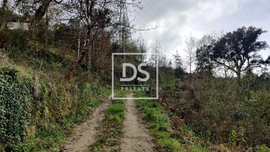 Quinta para Venda em Caniçada e Soengas Foto 3