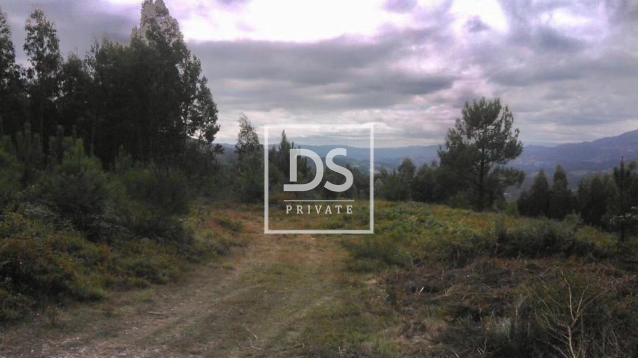 Terreno para Venda em Valdosende Foto 2