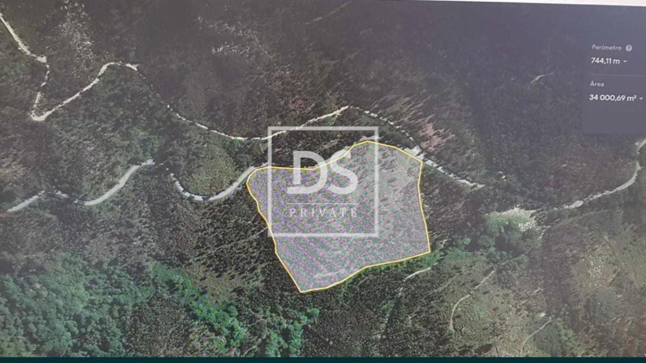 Terreno para Venda em Valdosende Foto 1