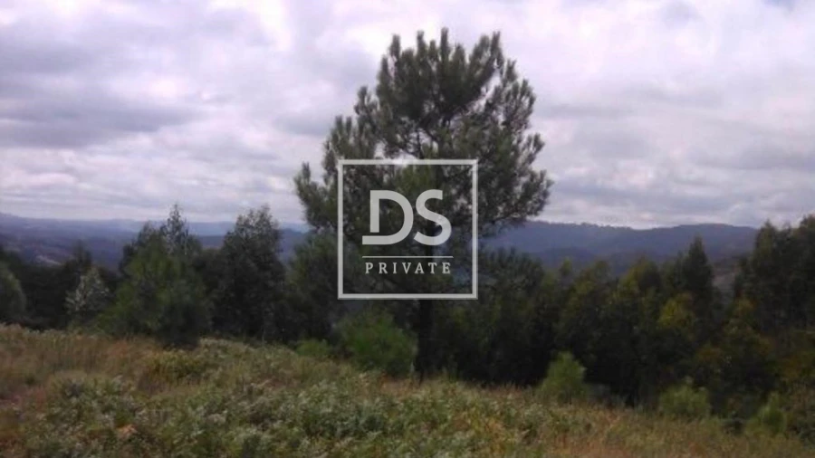 Terreno para Venda em Valdosende Foto 3