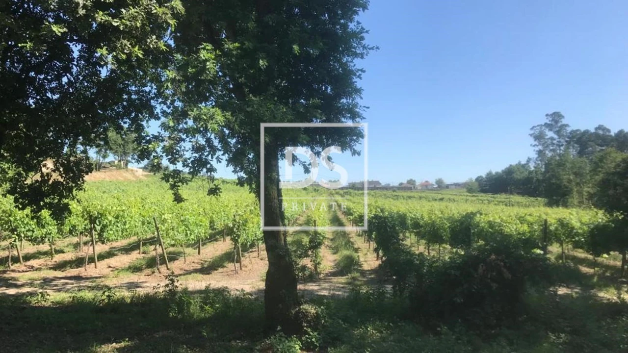 Quinta T10 para Venda em Vila Verde e Barbudo Foto 24