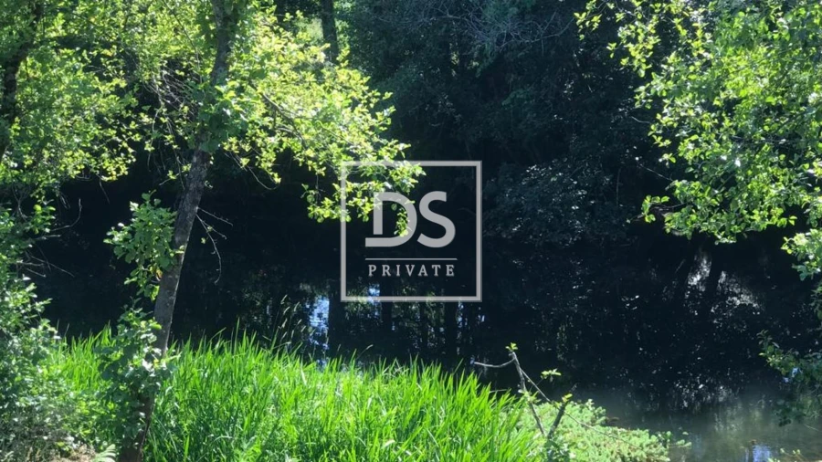 Quinta T10 para Venda em Vila Verde e Barbudo Foto 25