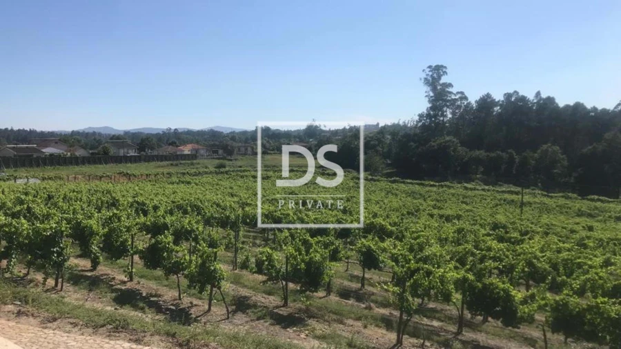 Quinta T10 para Venda em Vila Verde e Barbudo Foto 19