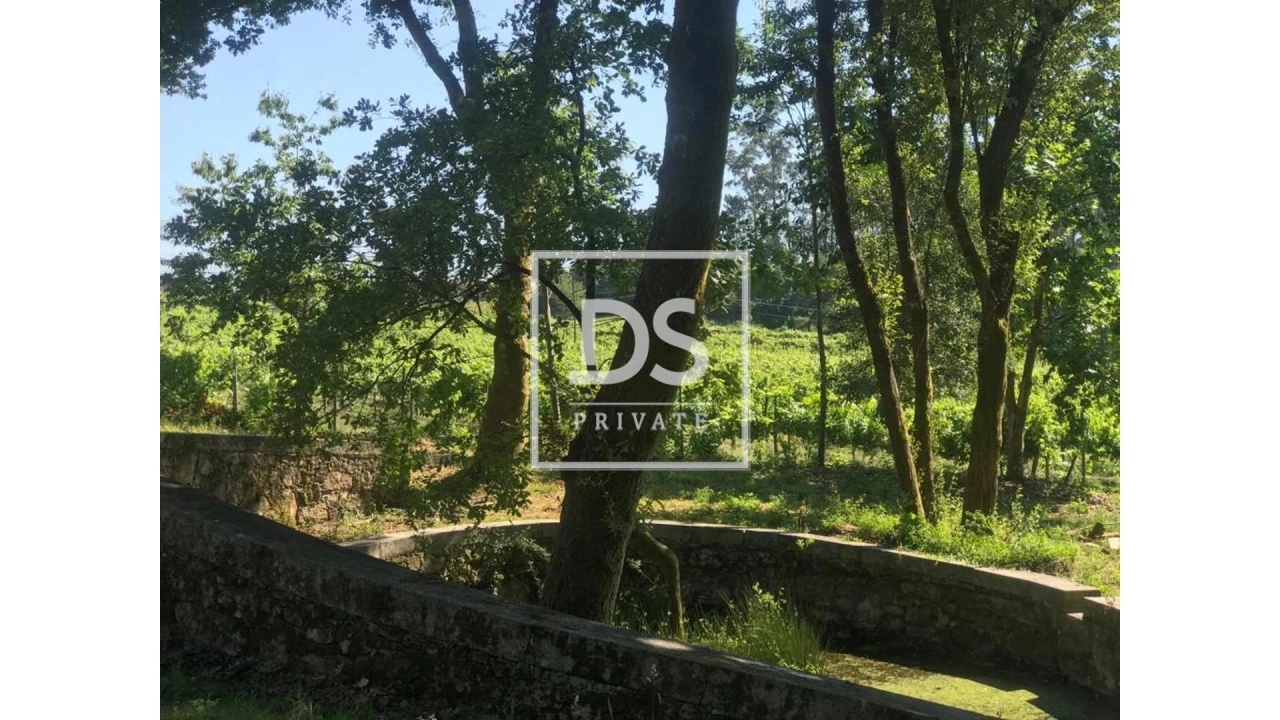 Quinta T10 para Venda em Vila Verde e Barbudo Foto 20