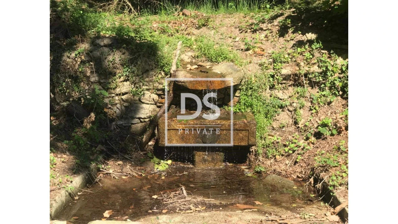 Quinta T10 para Venda em Vila Verde e Barbudo Foto 26