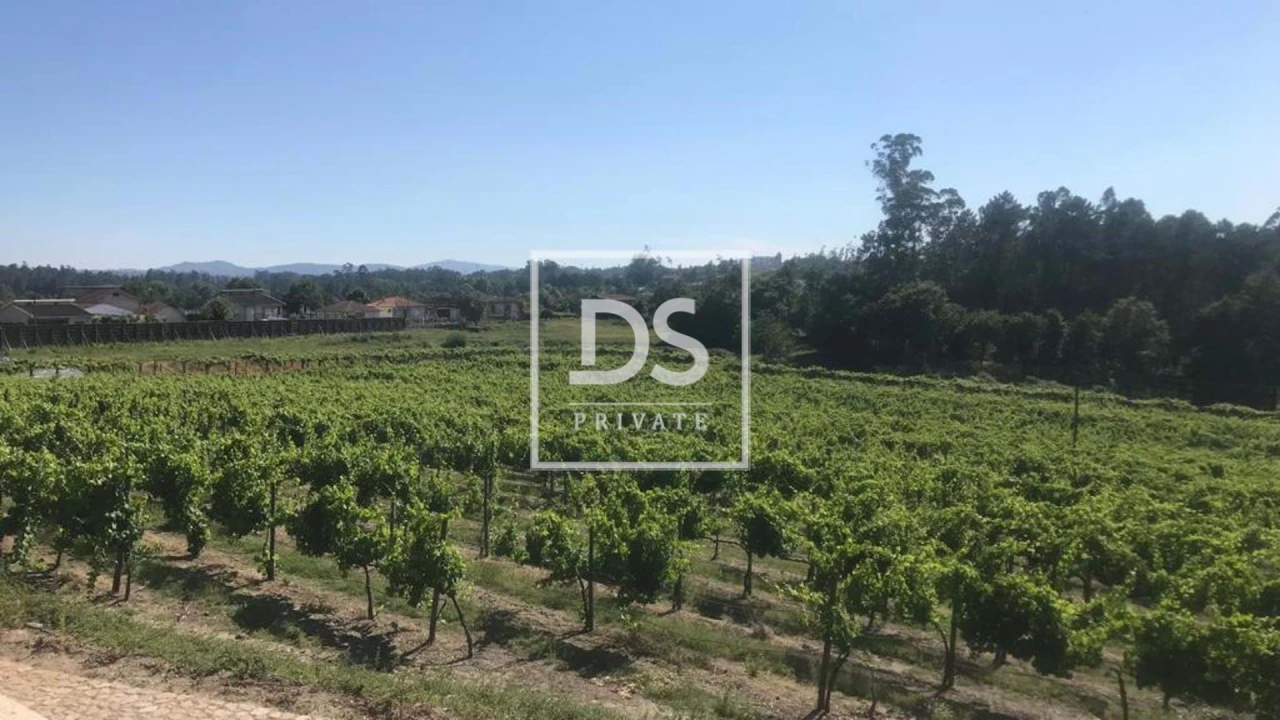 Quinta T10 para Venda em Vila Verde e Barbudo Foto 19