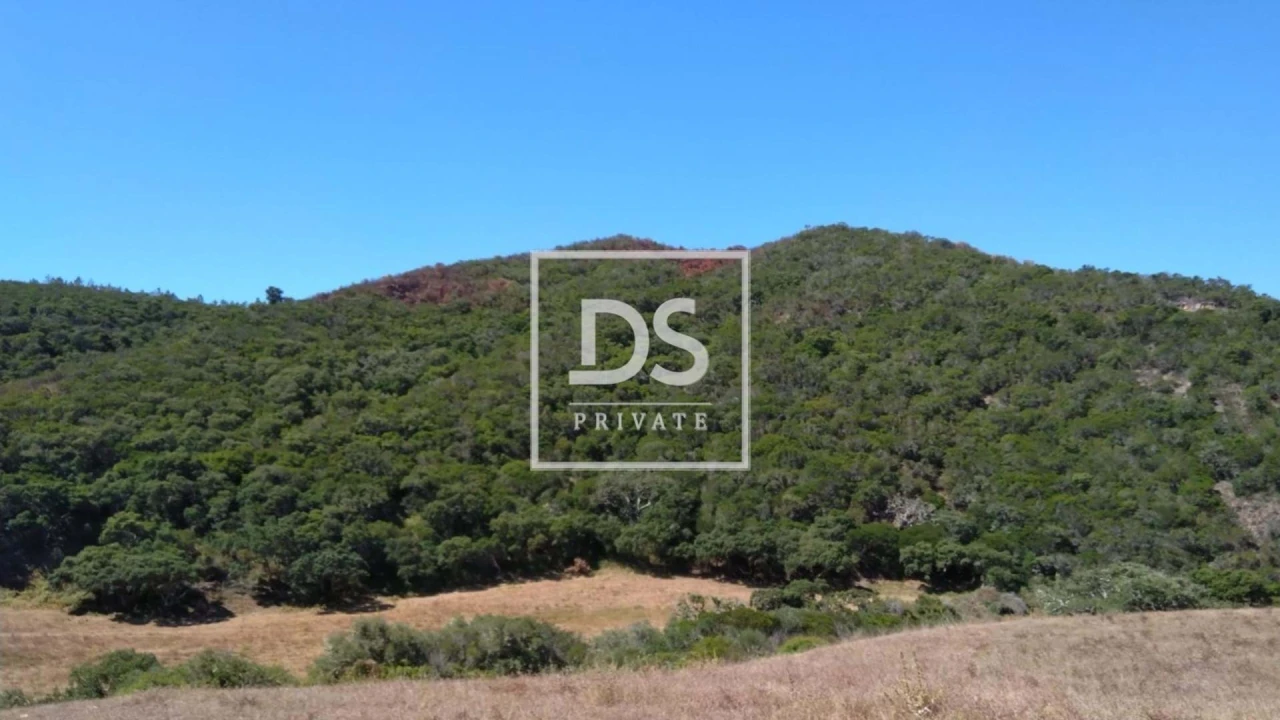 Terreno para Venda em Bordeira Foto 3