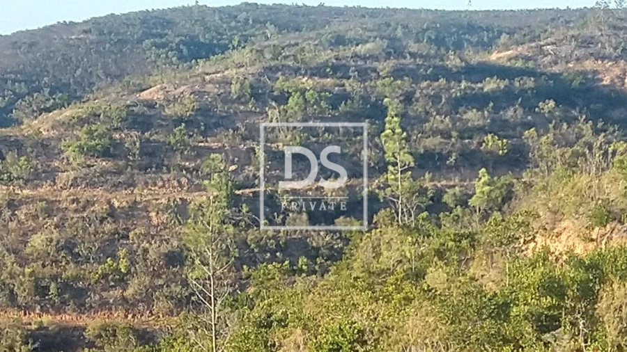 Terreno para Venda em Bordeira Foto 12