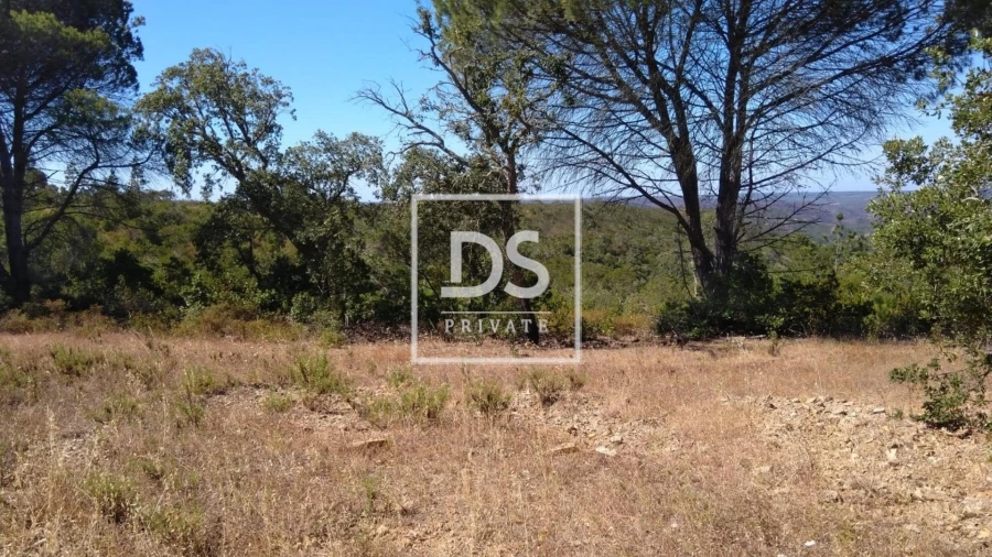 Terreno para Venda em Bordeira Foto 2