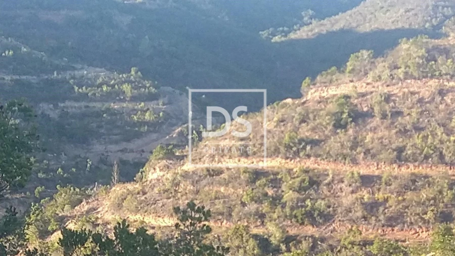 Terreno para Venda em Bordeira Foto 9