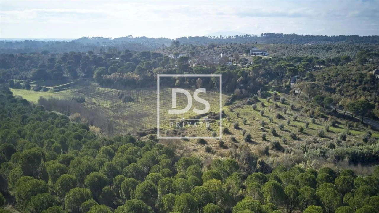 Terreno para Venda em Carregueiros Foto 3