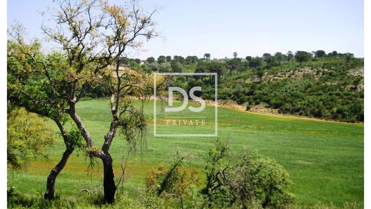 Terreno para Venda em Carregueiros Foto 1