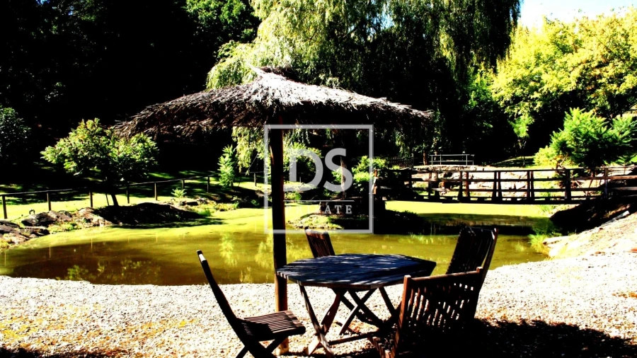 Quinta para Venda em Vale de Anta Foto 8