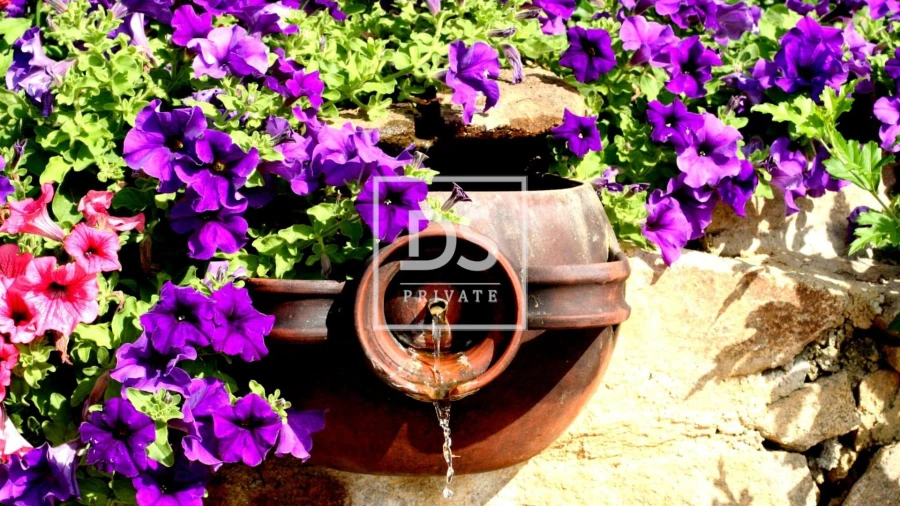 Quinta para Venda em Vale de Anta Foto 30