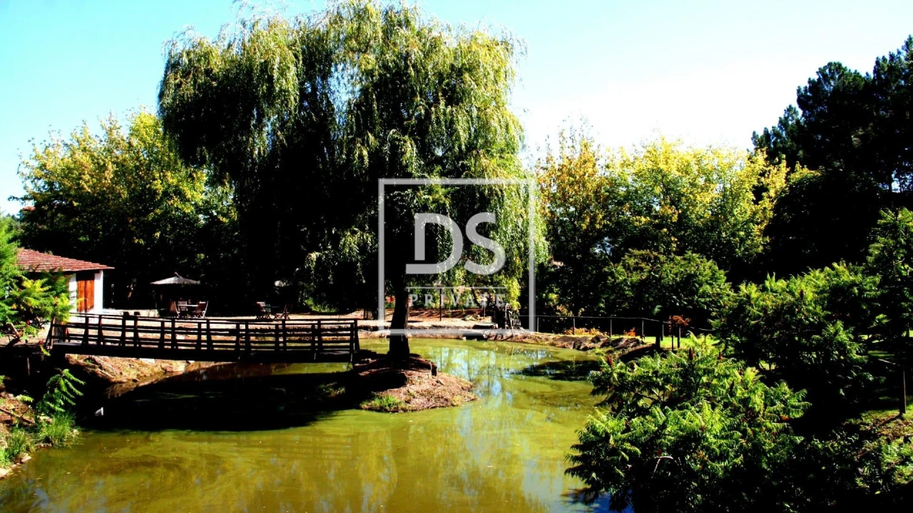 Quinta para Venda em Vale de Anta Foto 11