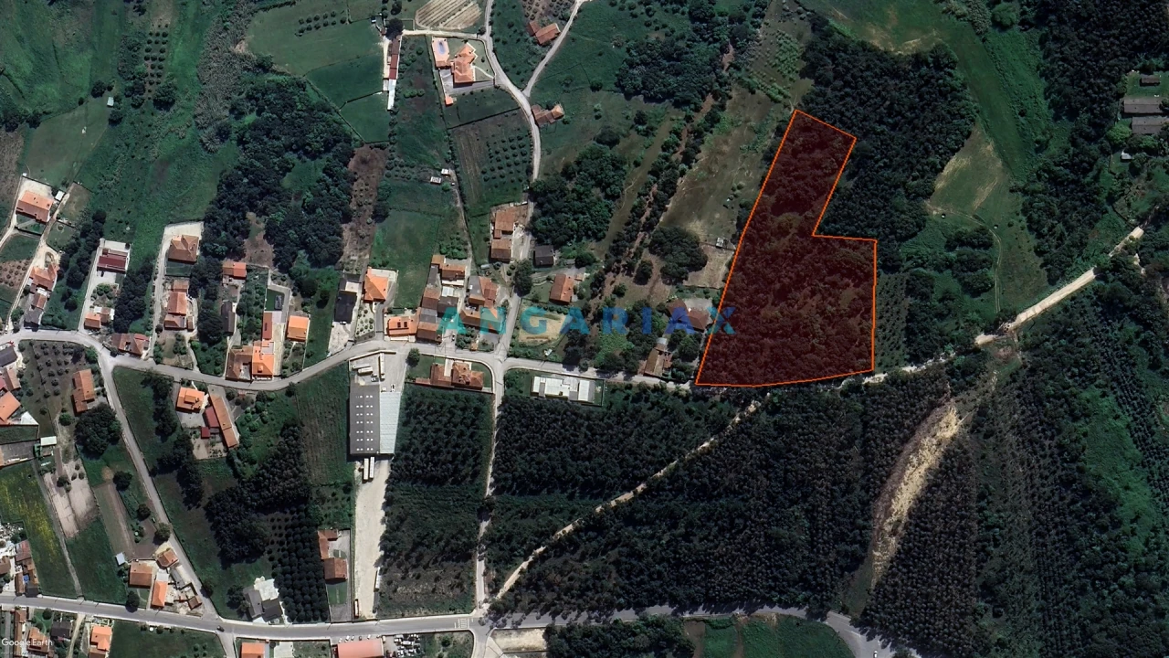 Terreno para Venda em Porto de Mós - São João Baptista e São Pedro Foto 29