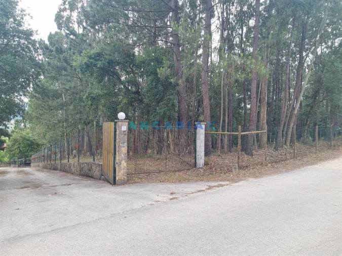 Terreno para Venda em Porto de Mós - São João Baptista e São Pedro Foto 4