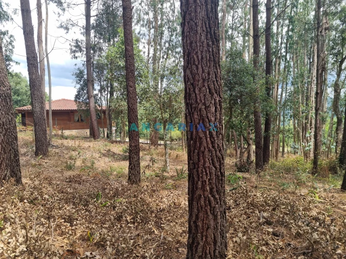 Terreno para Venda em Porto de Mós - São João Baptista e São Pedro Foto 6