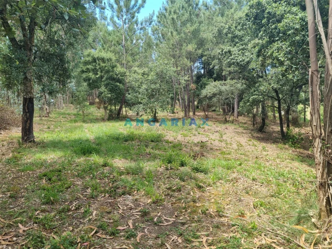 Terreno para Venda em Porto de Mós - São João Baptista e São Pedro Foto 12