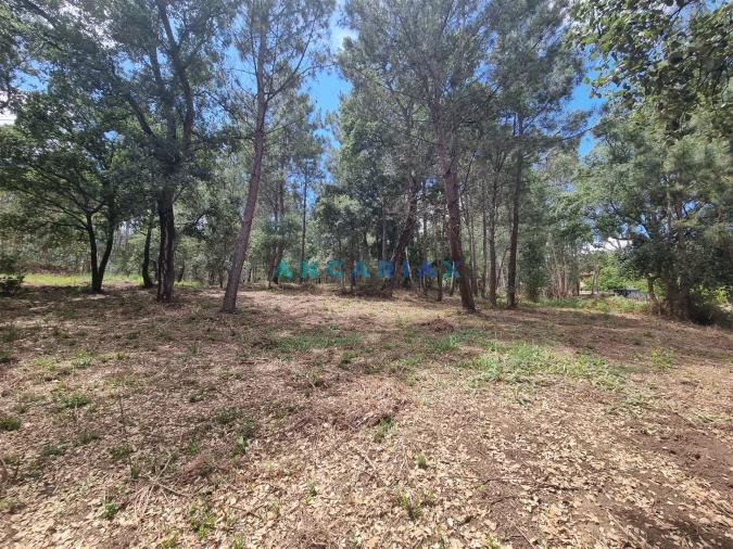 Terreno para Venda em Porto de Mós - São João Baptista e São Pedro Foto 17