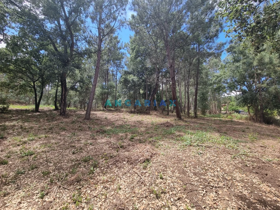 Terreno para Venda em Porto de Mós - São João Baptista e São Pedro Foto 17