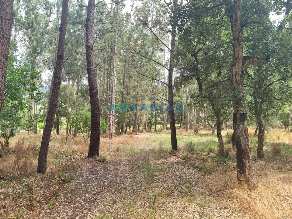 Terreno para Venda em Porto de Mós - São João Baptista e São Pedro Foto 22