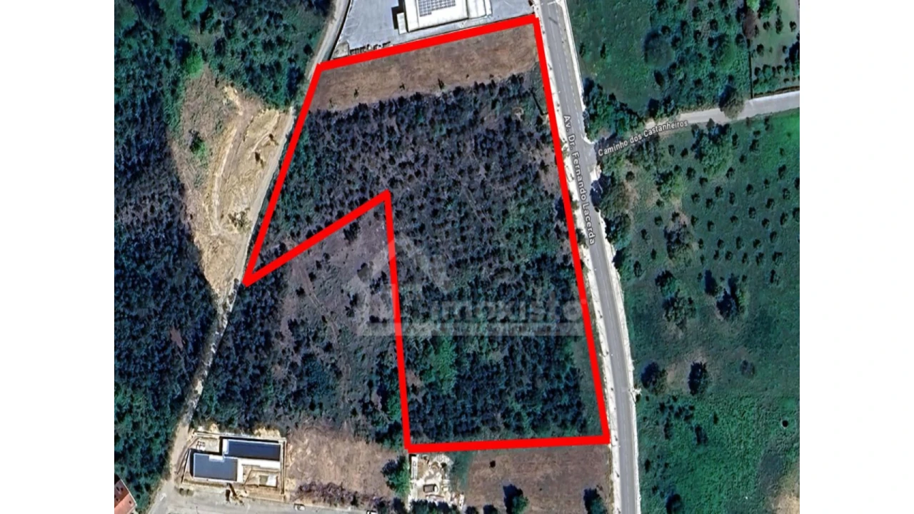 Terreno para Venda em Figueiró dos Vinhos e Bairradas Foto 8