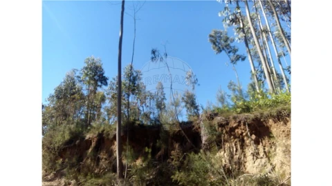Terreno para Venda em Requeixo, Nossa Senhora de Fátima e Nariz