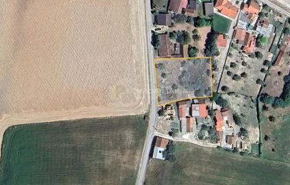 Terreno para Venda em Achete, Azoia de Baixo e Póvoa de Santarém