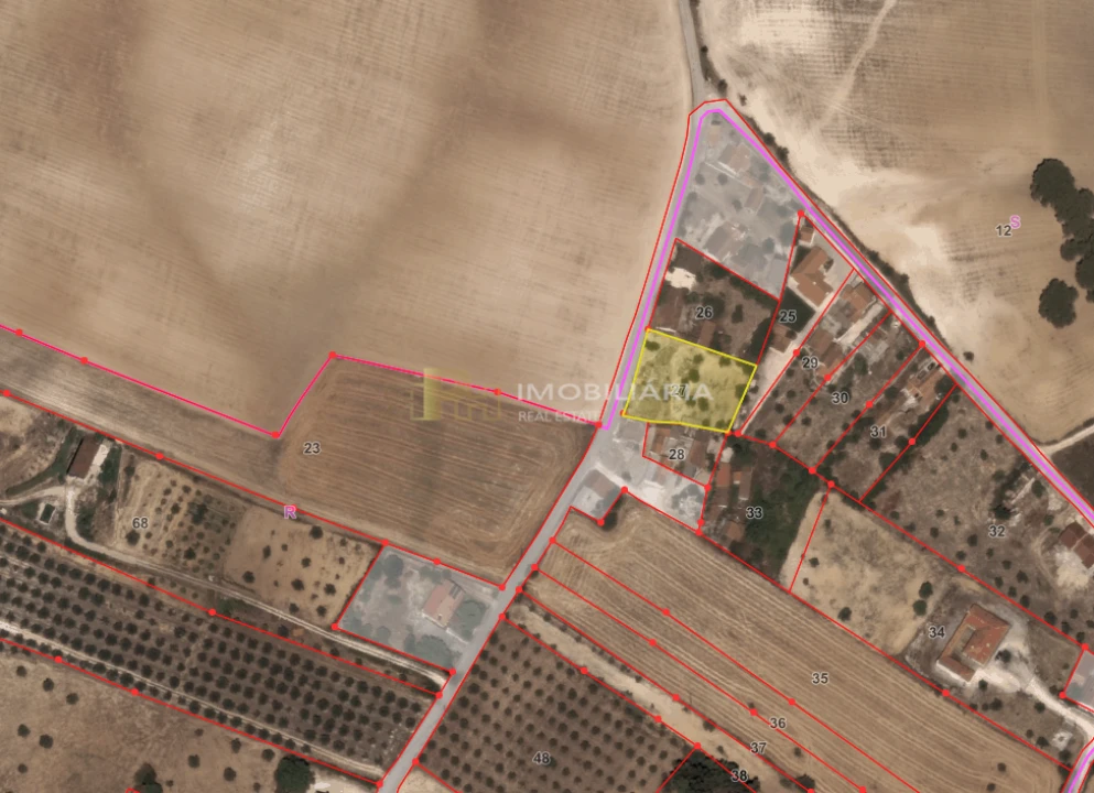Terreno para Venda em Achete, Azoia de Baixo e Póvoa de Santarém Foto 9