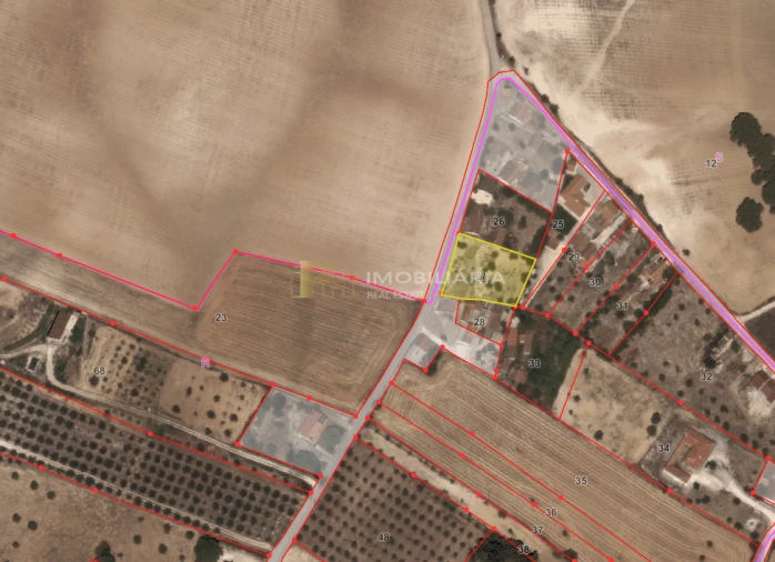 Terreno para Venda em Achete, Azoia de Baixo e Póvoa de Santarém Foto 9