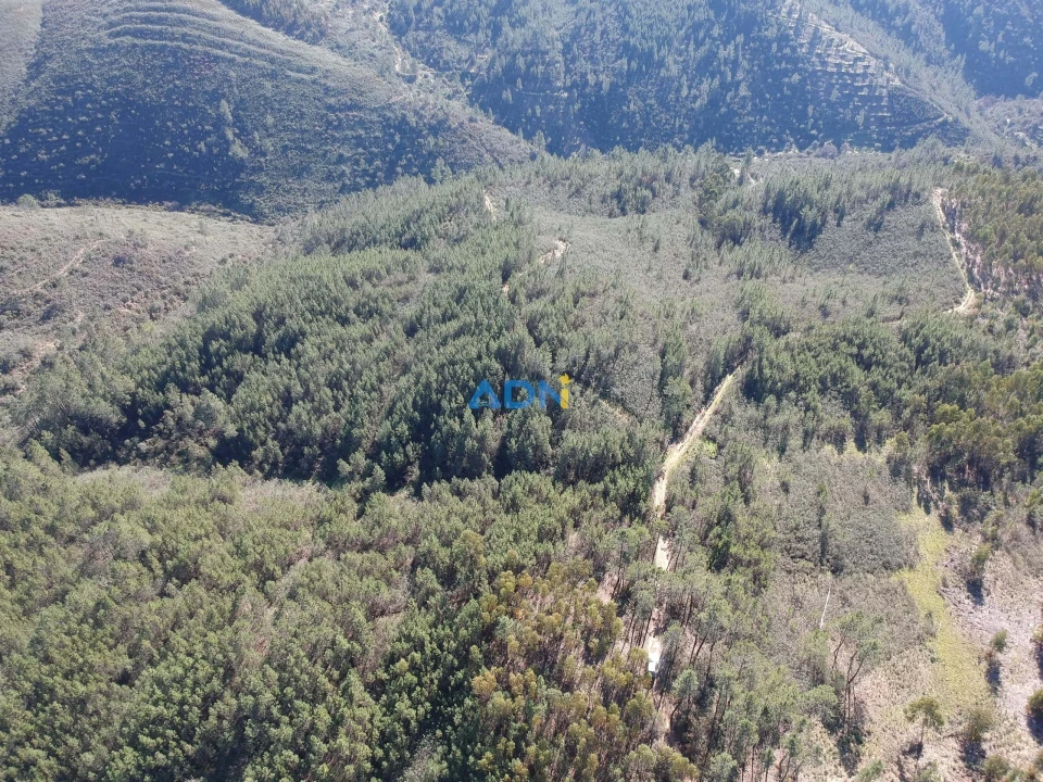 Terreno para Venda em Santo Andre das Tojeiras Foto 8